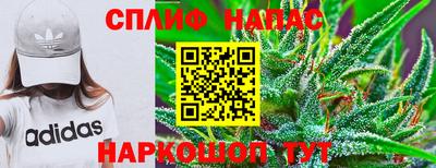 сатива Бугуруслан