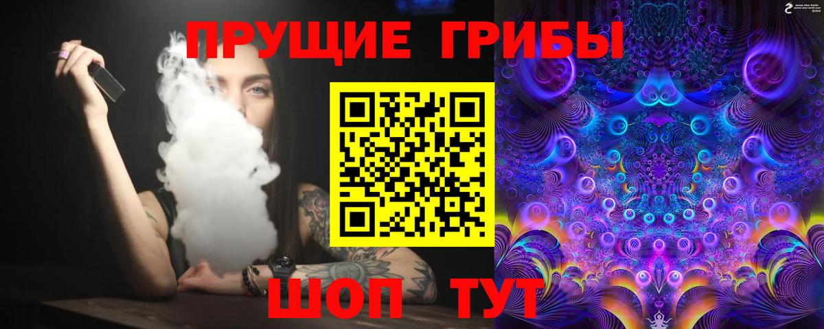 Омск  Псилоцибиновые грибы мицелий  Вход с VPN 